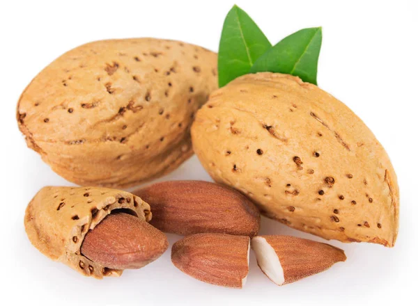 Almendra Con Hoja Aislada Sobre Fondo Blanco — Foto de Stock