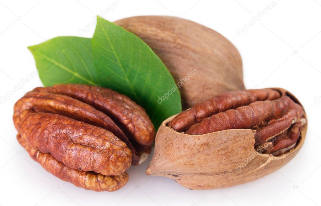 pecan nut isolated on white background