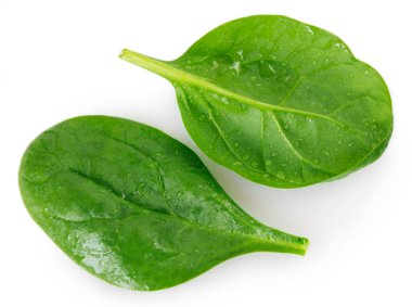 taze ıspanak üzerinde beyaz arka plan izole