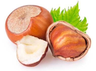 fındık yaprak beyaz arka plan üzerinde izole