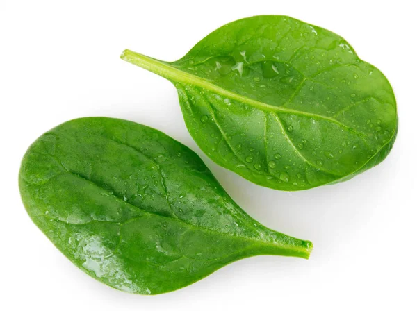 taze ıspanak üzerinde beyaz arka plan izole