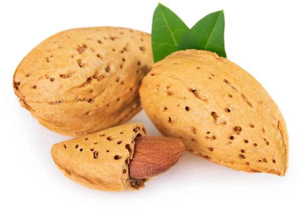 Almendra Con Hoja Aislada Sobre Fondo Blanco — Foto de Stock