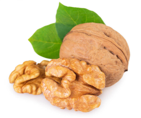 walnut isolated on white background