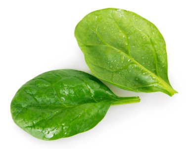 taze ıspanak üzerinde beyaz arka plan izole