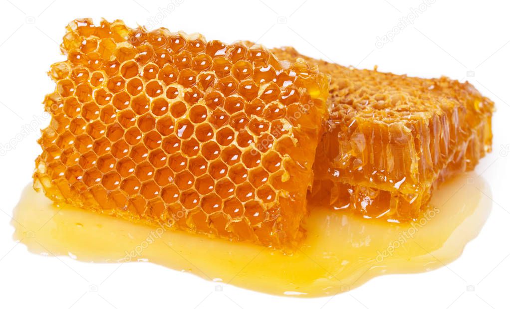 honeycomb with honey isolated on white background