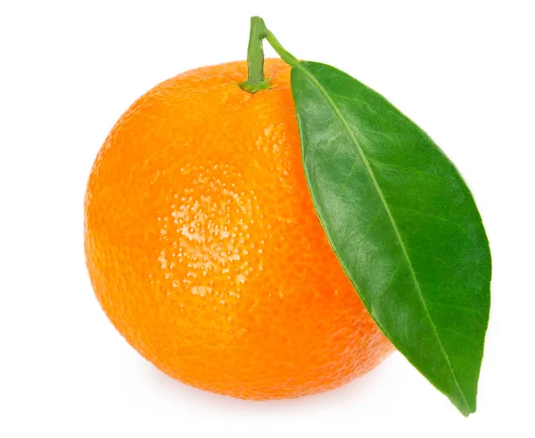 Čerstvé Mandarine Listy Izolované Bílém Pozadí — Stock fotografie
