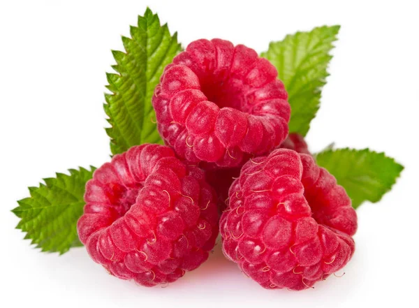 Beyaz arka plan üzerinde izole yaprak taze ahududu