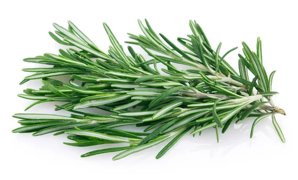 Fresh rosemary on white background — Stock Photo, Image