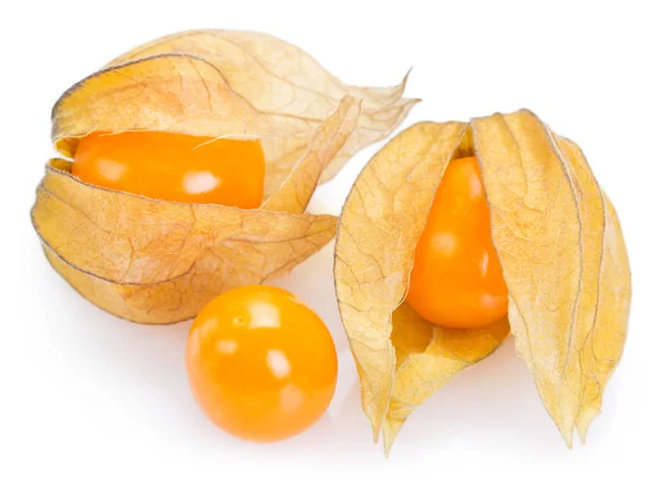 Physalis madura sobre fondo blanco — Foto de Stock