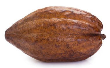 Beyaz zemin üzerine kakao pod