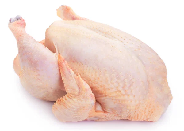 Frango cru no fundo branco — Fotografia de Stock