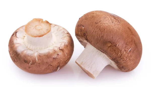 Verse champignons op witte achtergrond — Stockfoto