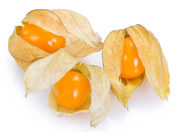 Physalis madura sobre fondo blanco — Foto de Stock