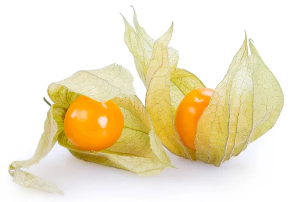 Érett physalis fehér háttér — Stock Fotó