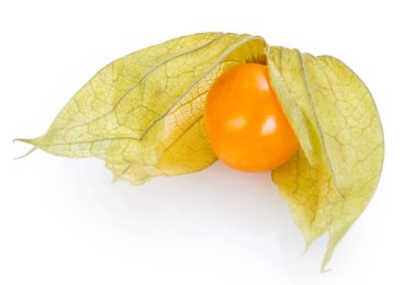 beyaz zemin üzerinde olgunlaşmış physalis