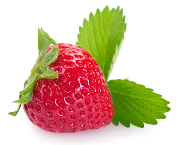白色背景的新鲜草莓 — 图库照片