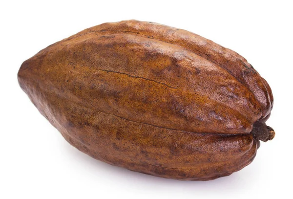 Cacao pod op witte achtergrond Stockfoto