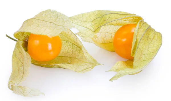 Érett physalis fehér háttér — Stock Fotó