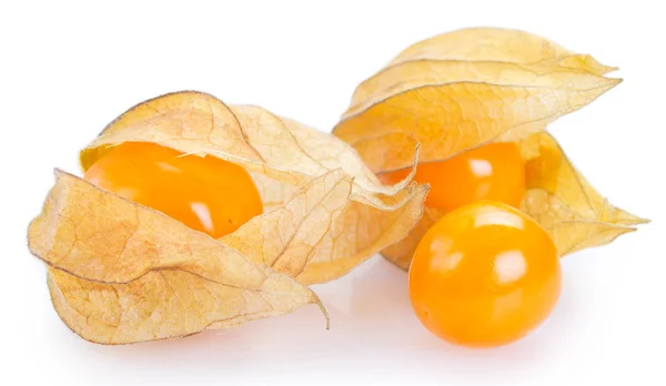 Érett physalis fehér háttér — Stock Fotó