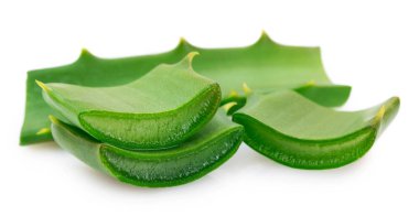 Beyaz arkaplanda taze aloe vera