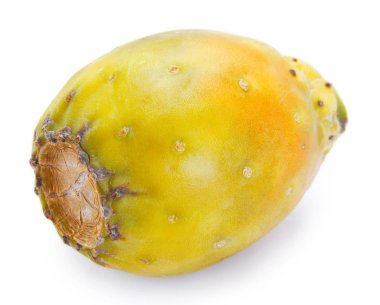 Beyaz arka planda taze opuntia. Dikenli armut.