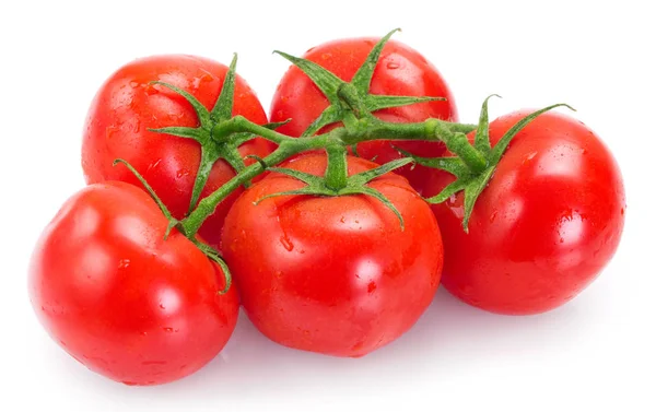 Frische Tomate auf weißem Hintergrund — Stockfoto