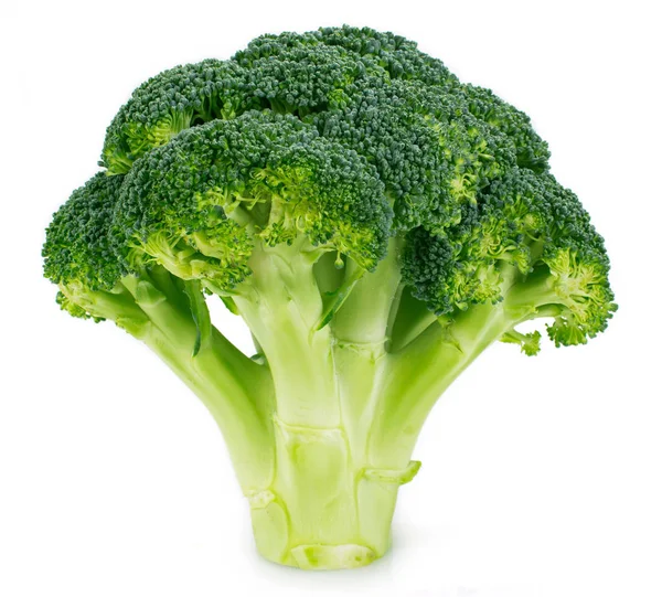 Fresh broccoli on white background — Stock Photo, Image