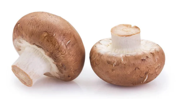 Verse champignons op witte achtergrond — Stockfoto