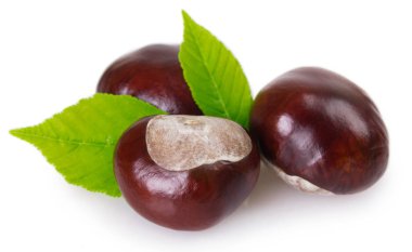 Beyaz arka planda taze kestane