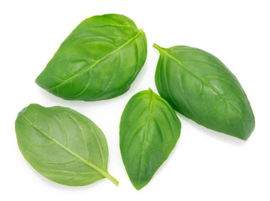 Beyaz arkaplanda taze fesleğen