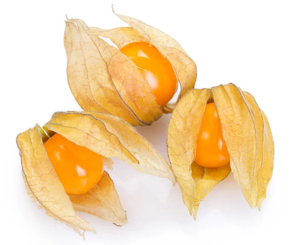 Physalis madura sobre fondo blanco — Foto de Stock