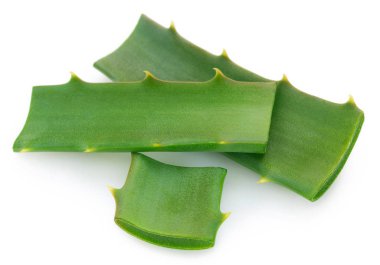 Beyaz arkaplanda taze aloe vera