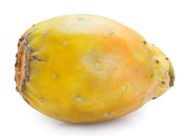 Beyaz arka planda taze opuntia. Dikenli armut.