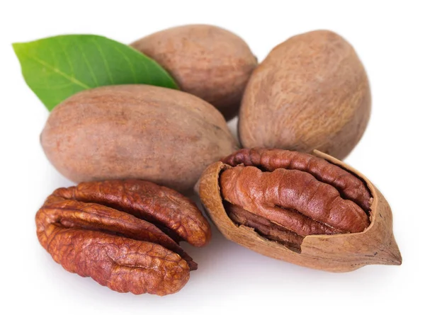 Pecan nut på vit bakgrund — Stockfoto