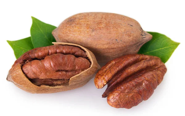 Pecan nut na białym tle — Zdjęcie stockowe