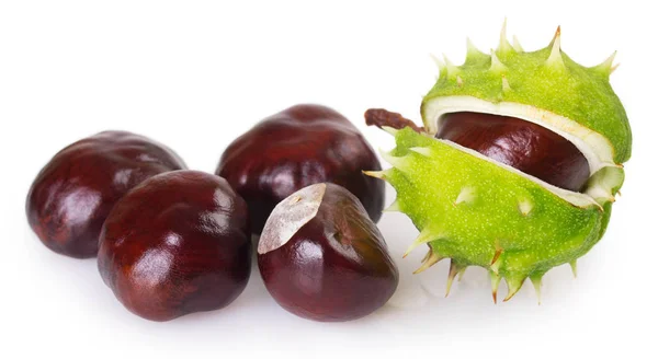 Fresh chestnut on white background — Stock Photo, Image