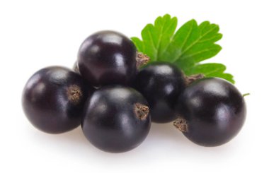 Beyaz arka planda Siyah frenk üzümü