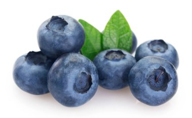 Beyaz arkaplanda taze yaban mersini