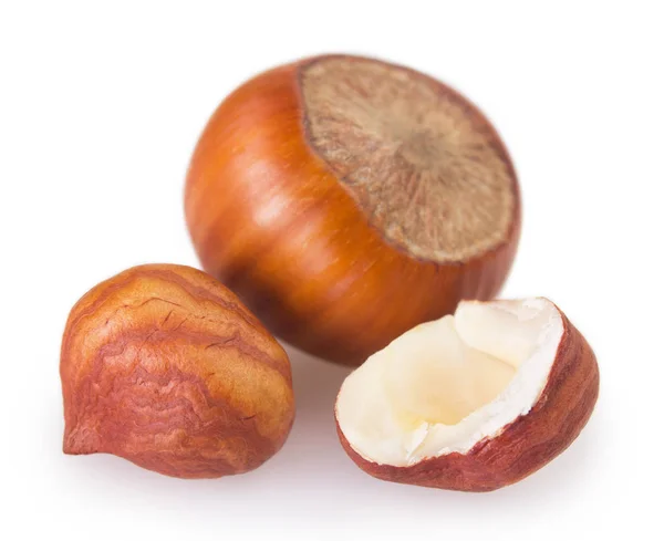 Lískový ořech na bílém pozadí — Stock fotografie