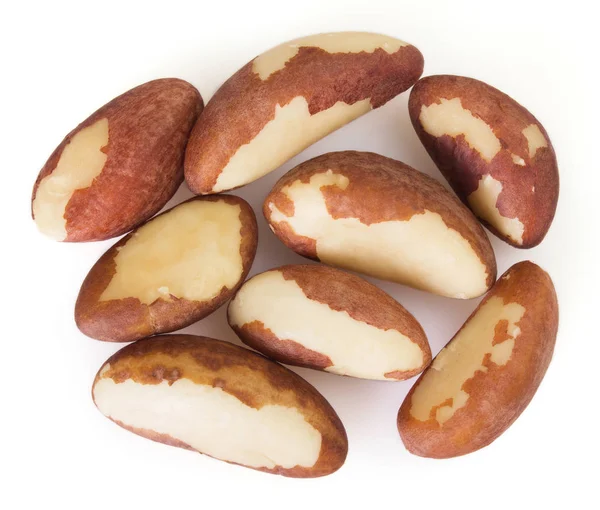 Brazil nut på vit bakgrund — Stockfoto