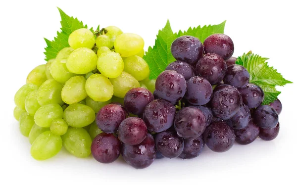Fresh grape on white background Royalty Free Stock Images