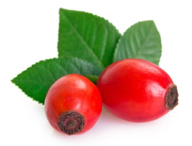 Beyaz arka planda taze briar