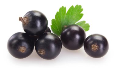 Beyaz arka planda Siyah frenk üzümü