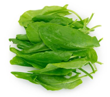 Beyaz arka planda taze sorrel