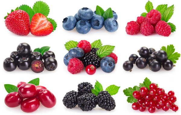 Collection of fresh berries on white background