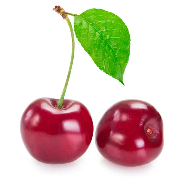 Segar cherry di latar belakang putih — Stok Foto