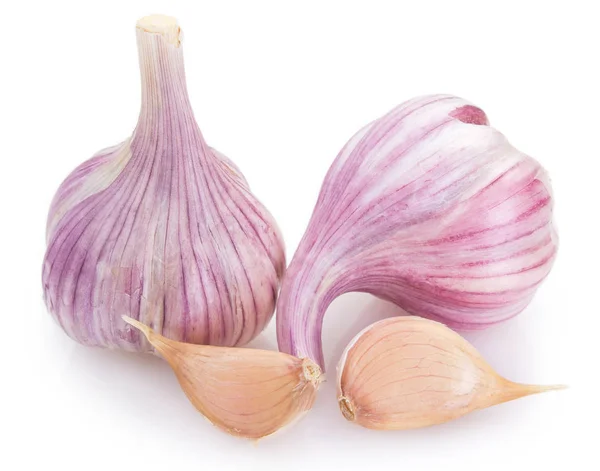 Frischer Knoblauch auf weißem Hintergrund — Stockfoto