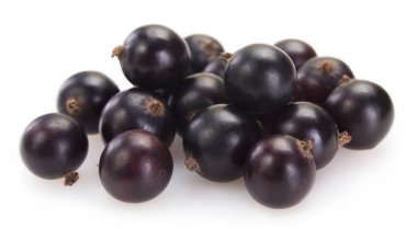 Beyaz arka planda Siyah frenk üzümü
