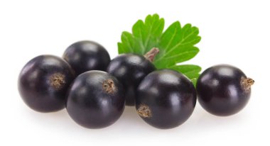 Beyaz arka planda Siyah frenk üzümü