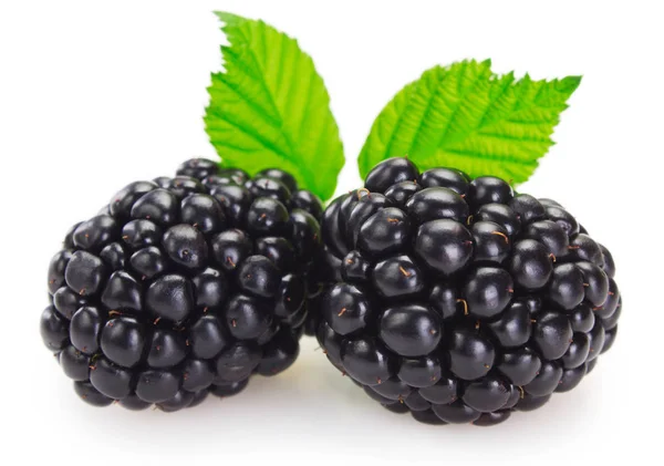 Świeże blackberry na białym tle — Zdjęcie stockowe